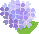 梅雨空と紫陽花